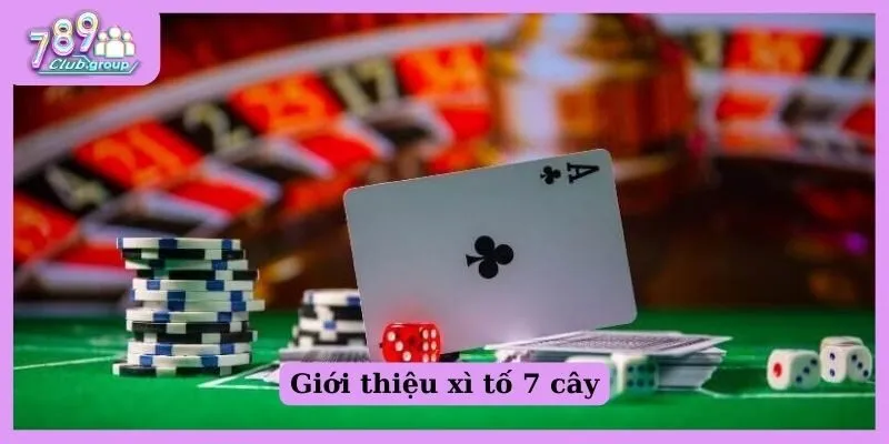 Giới thiệu xì tố 7 cây