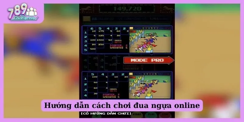 Hướng dẫn cách chơi đua ngựa online